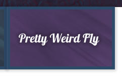 Pretty Weird FLy